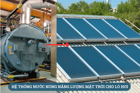 Máy Nước Nóng Năng Lượng Mặt Trời Cho Lò Hơi: Giải Pháp Tiết Kiệm và Bền Vững