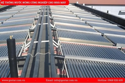 Thiết kế hệ thống nước nóng công nghiệp cho nhà máy thủy sản: tối ưu rã đông, vệ sinh và giảm thất thoát nhiệt