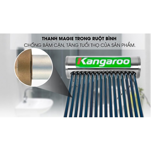 Máy Nước Nóng Năng Lượng Mặt Trời 240L